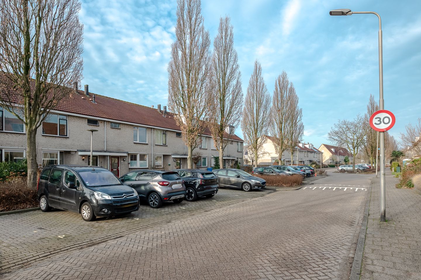 Photo 59 of Gentiaan 44