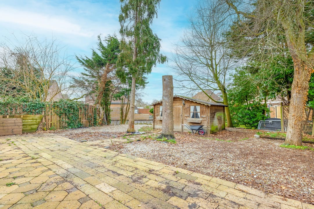 Foto 26 van Slakkenveen 325