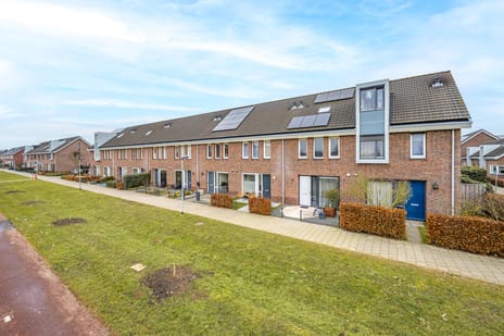 Pimpernelblauwtje thumbnail