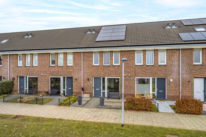 Foto 4 van Pimpernelblauwtje 13