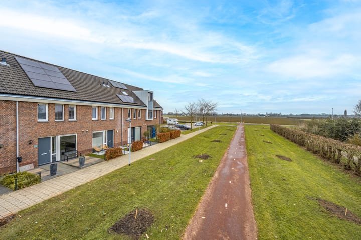 Foto 6 van Pimpernelblauwtje 13