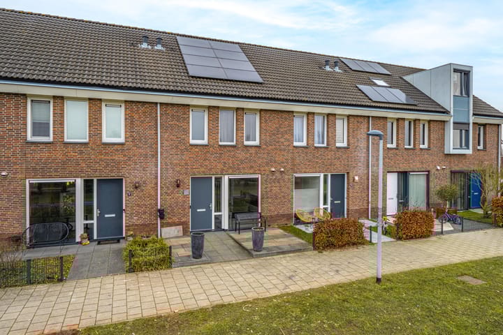 Foto 8 van Pimpernelblauwtje 13