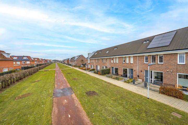 Foto 49 van Pimpernelblauwtje 13