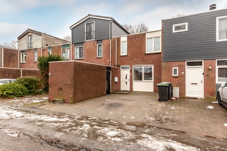 undefined main image