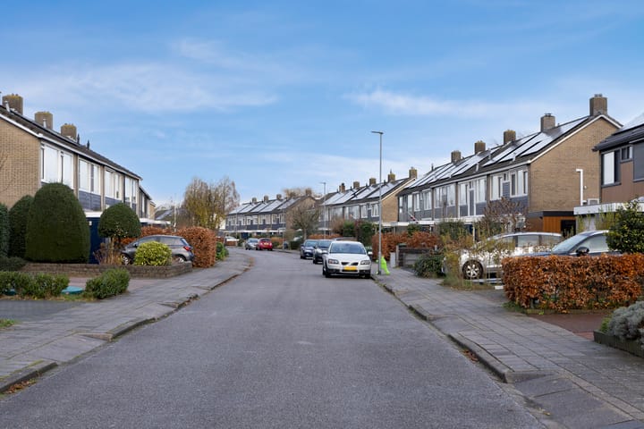 Photo 3 of de Mate 4