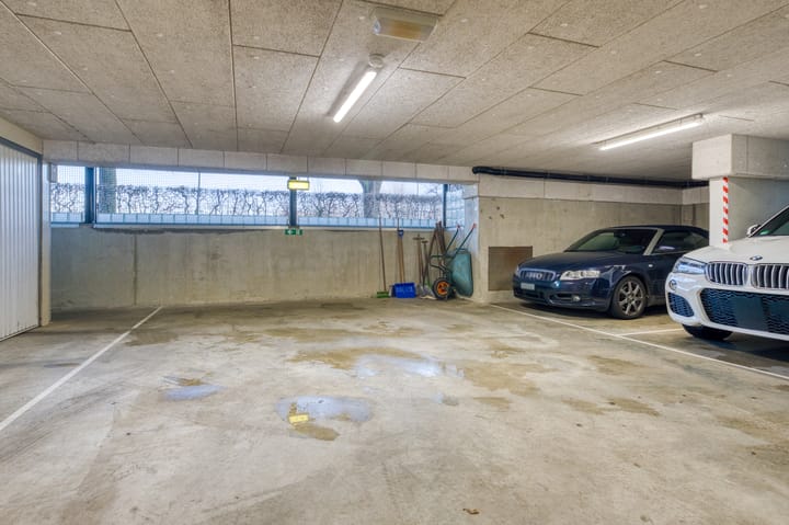 Foto 55 van Het Voert 36