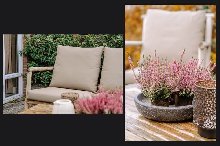 Photo 43 of Taalstraat 48