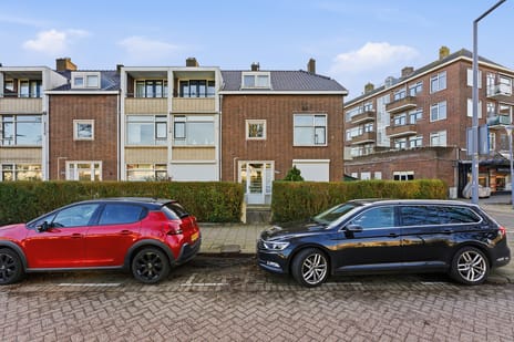 Kastanjesingel thumbnail