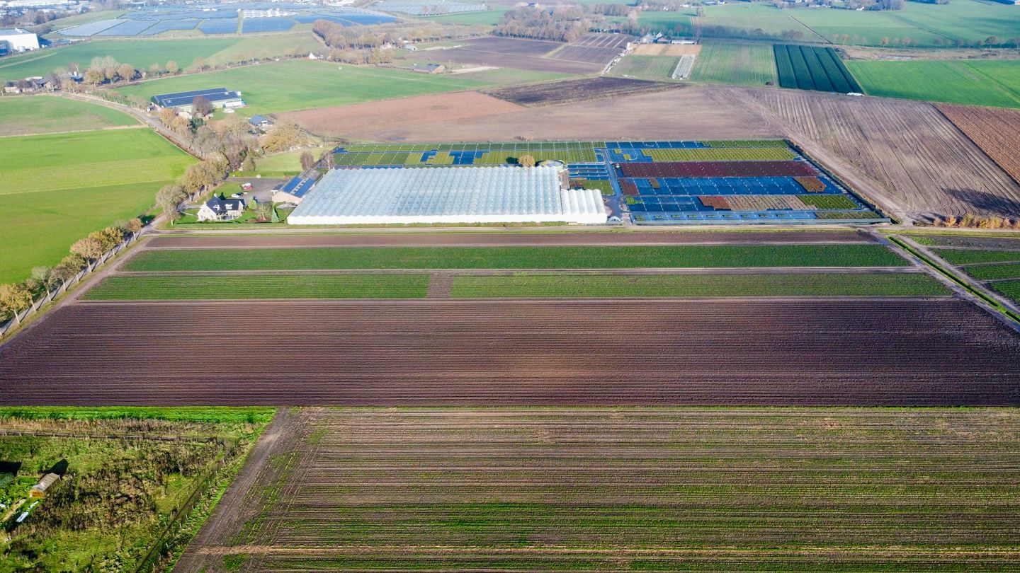 Bekijk foto 5 van Wouwerbeekseweg