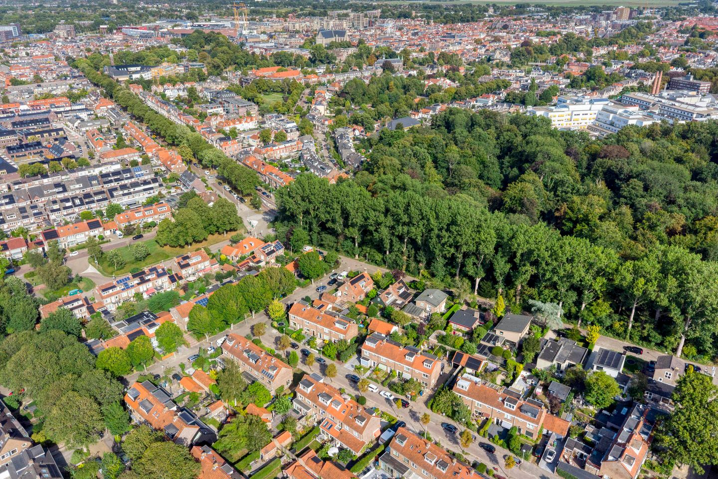 Foto 44 van Kastanjelaan 1