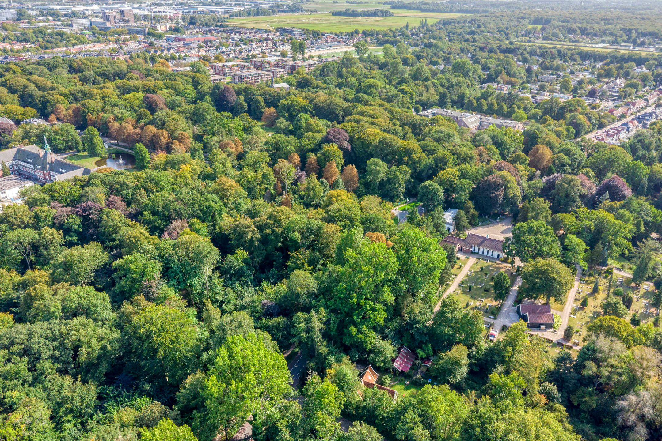 Foto 45 van Kastanjelaan 1