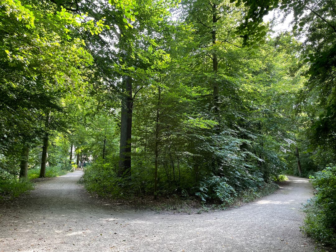 Foto 47 van Kastanjelaan 1