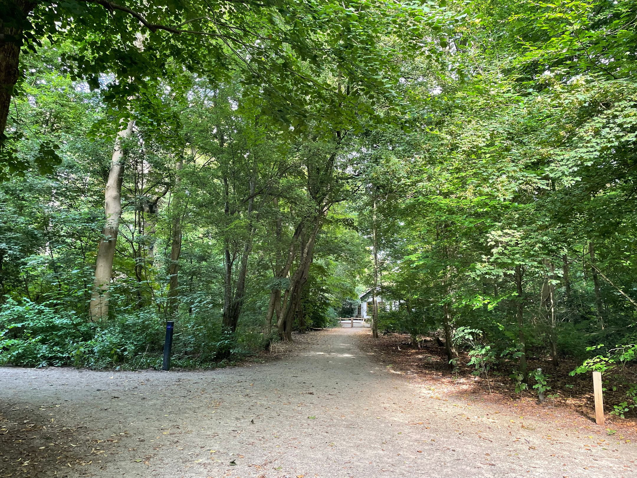 Foto 48 van Kastanjelaan 1