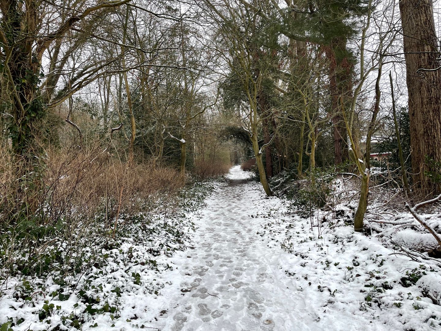 Foto 50 van Kastanjelaan 1