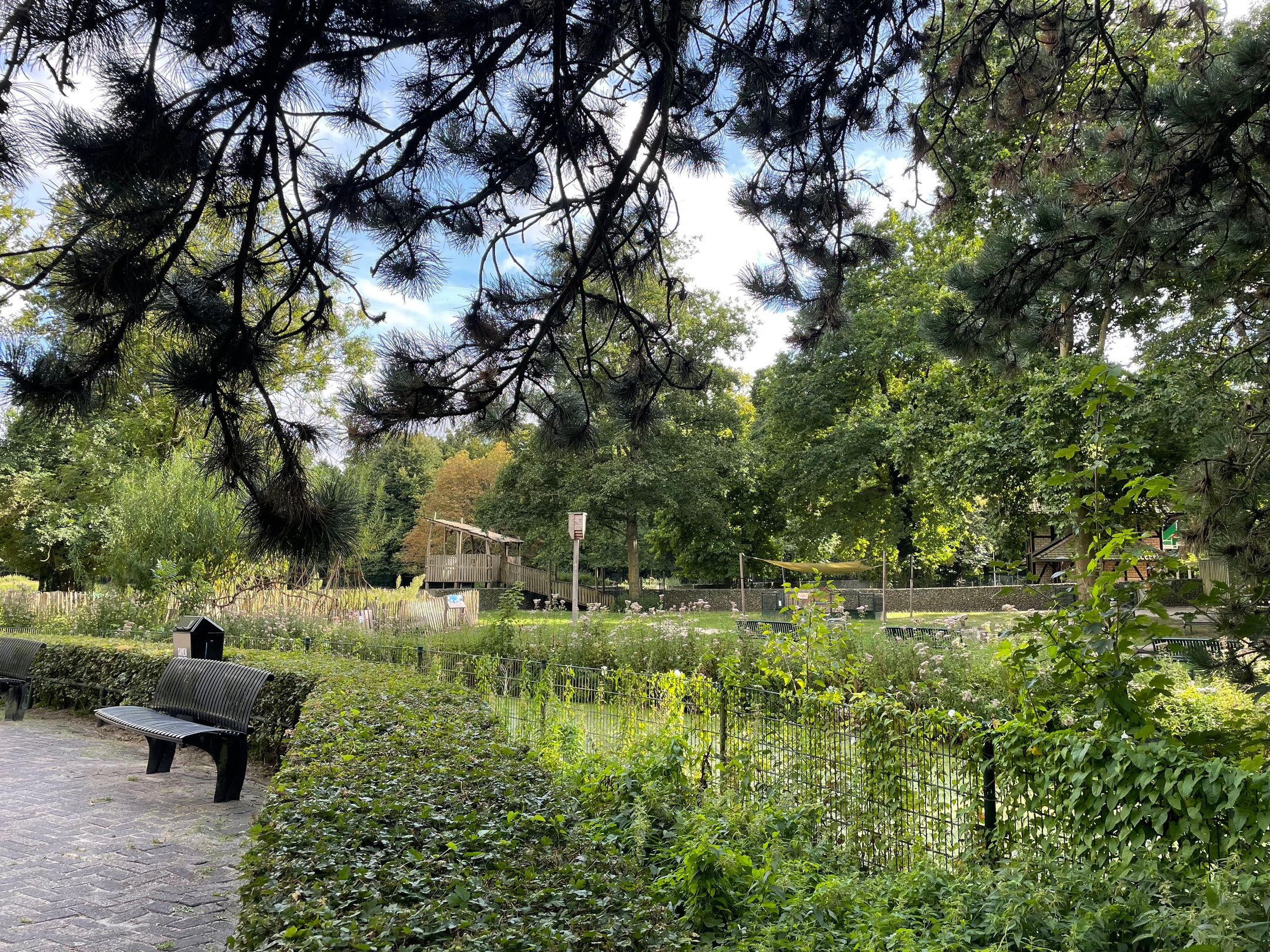 Foto 51 van Kastanjelaan 1