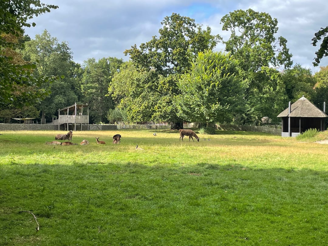 Foto 53 van Kastanjelaan 1