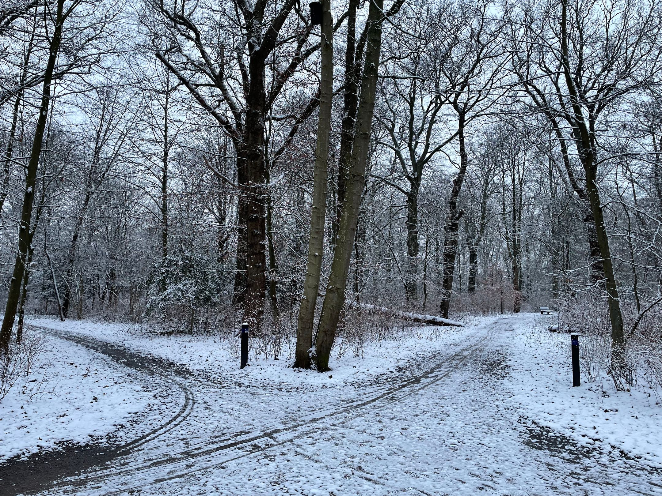 Foto 54 van Kastanjelaan 1