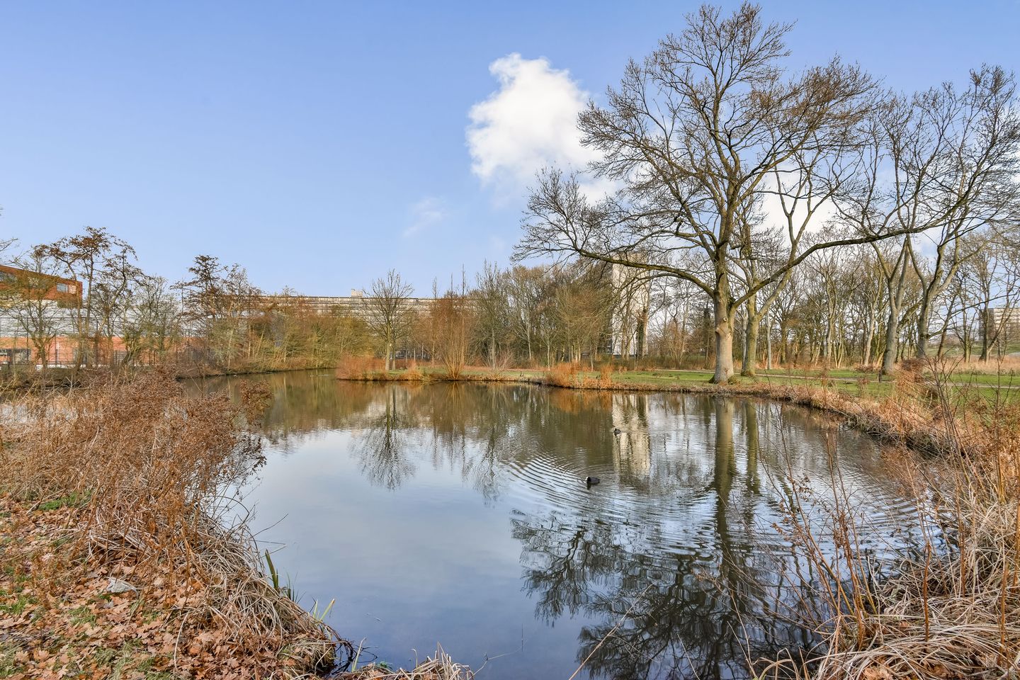 Foto 20 van Korhoenlaan 38