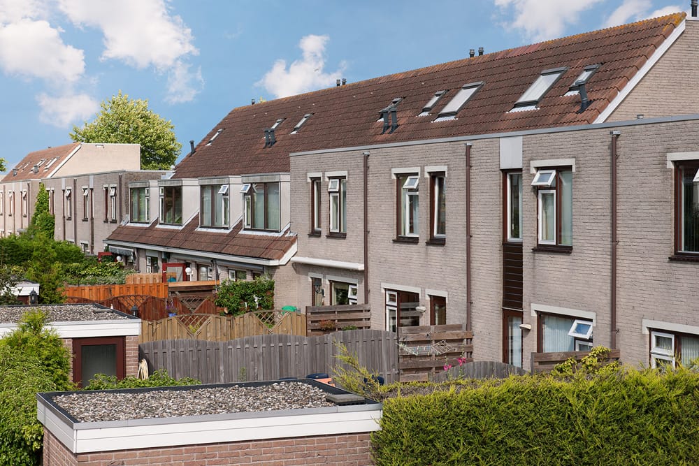 Foto 3 van Saturnusgeel 6