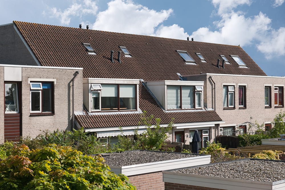 Foto 4 van Saturnusgeel 6