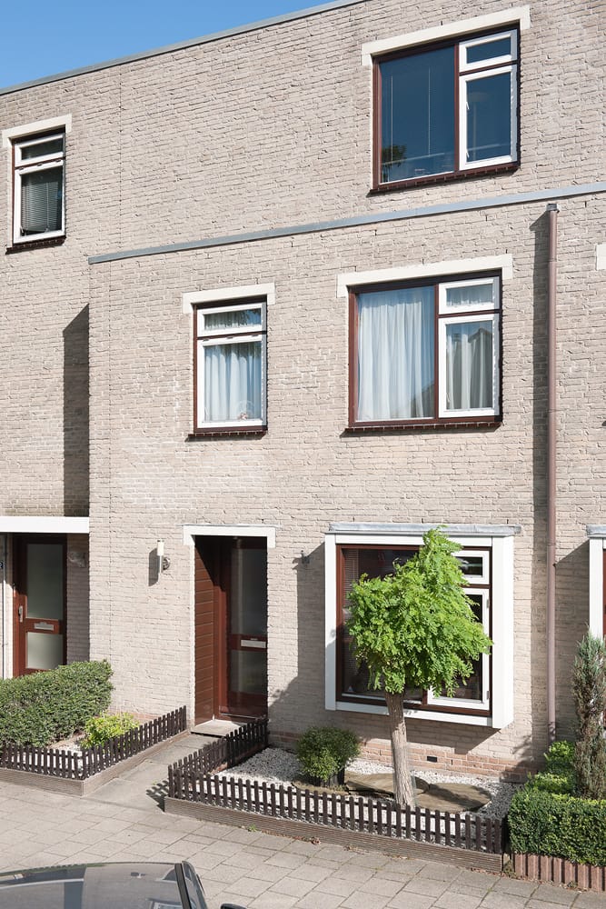 Foto 5 van Saturnusgeel 6