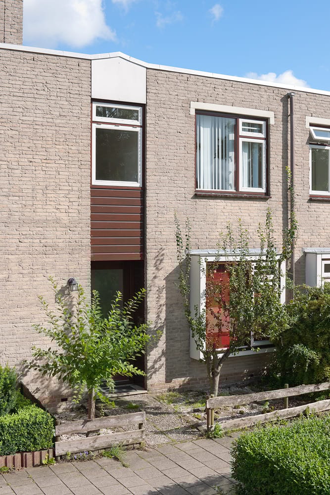 Foto 6 van Saturnusgeel 6