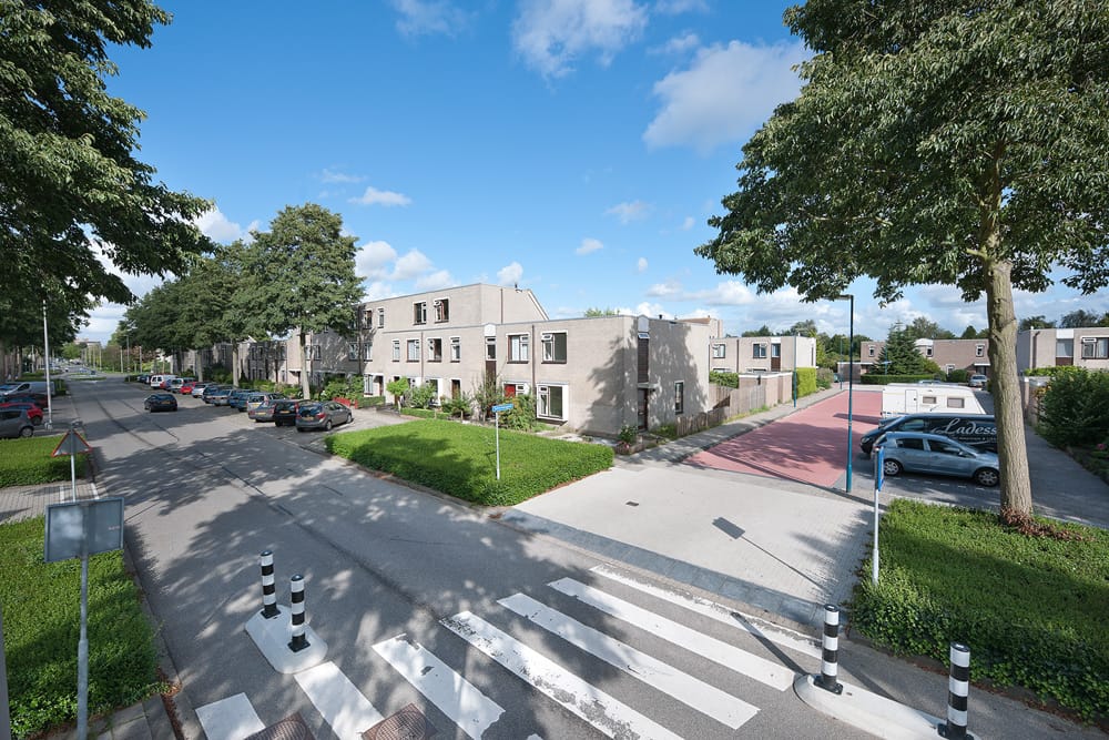 Foto 9 van Saturnusgeel 6