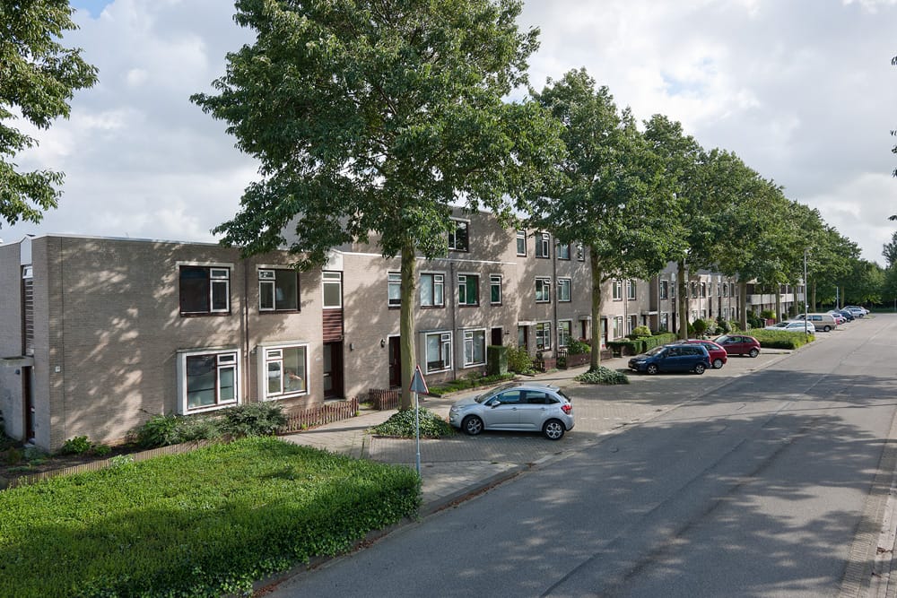 Foto 10 van Saturnusgeel 6