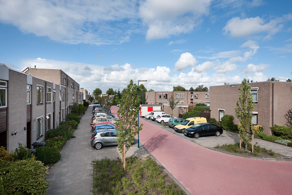 Foto 11 van Saturnusgeel 6