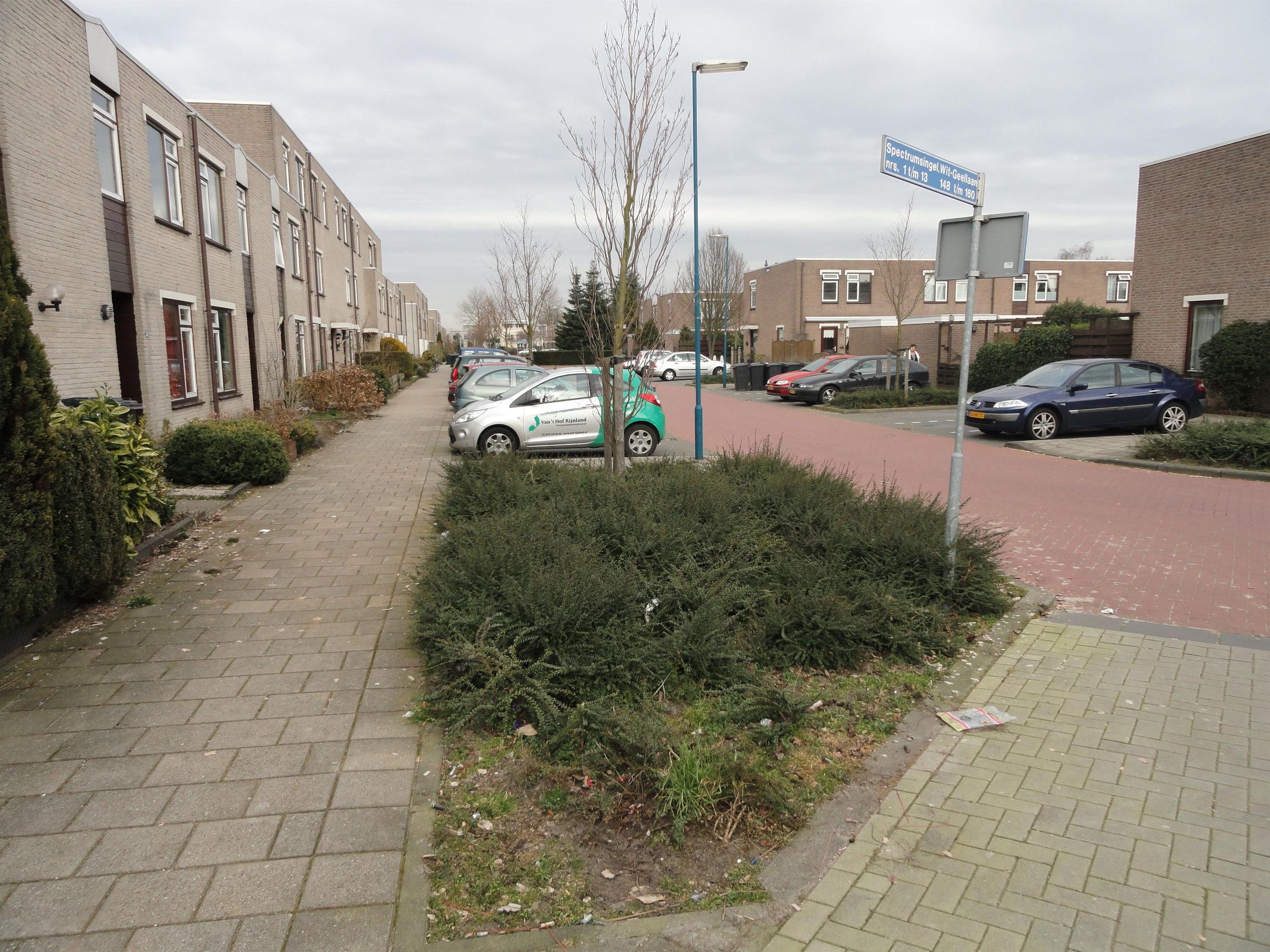 Foto 12 van Saturnusgeel 6