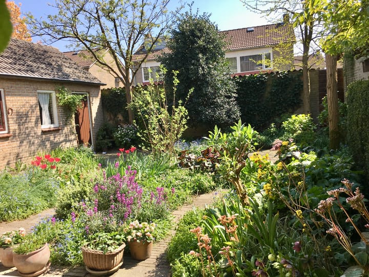 Foto 38 van Sportlaan 8