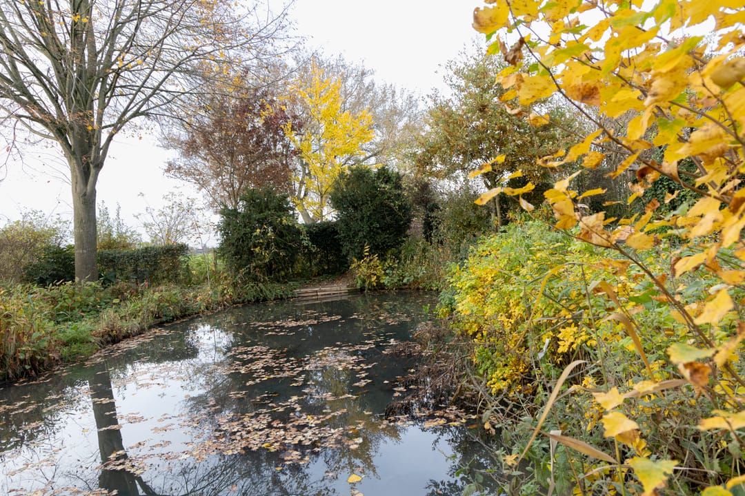 Foto 7 van Hoenwaardseweg 15-A