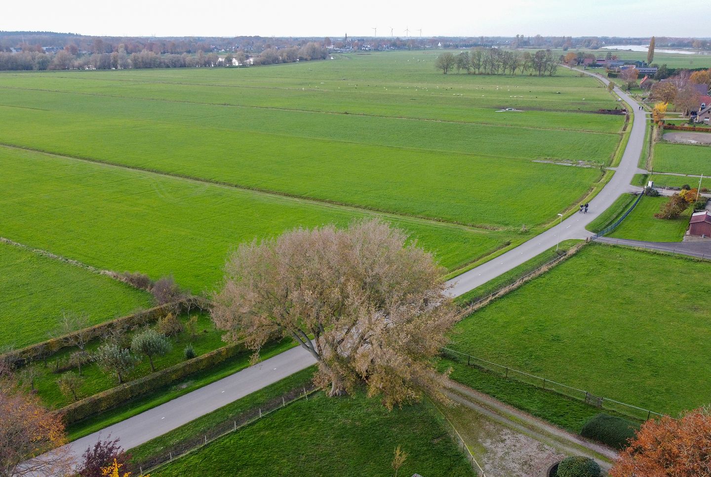 Foto 55 van Hoenwaardseweg 15-A