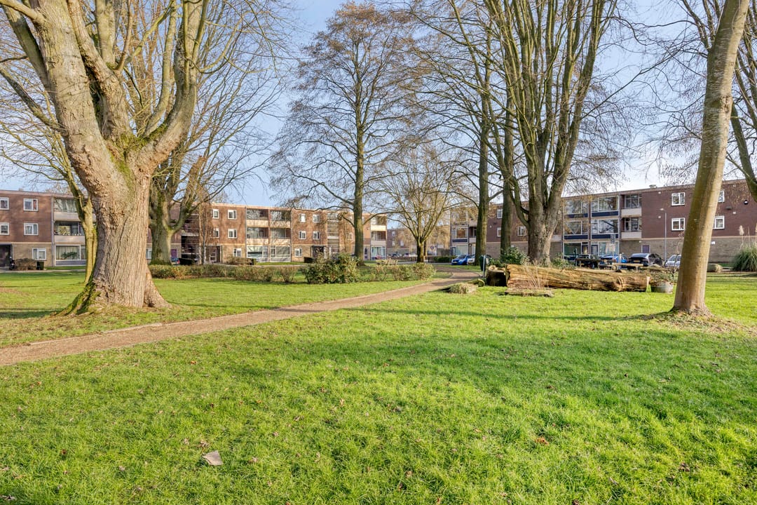 Foto 23 van Gruttoplein 7