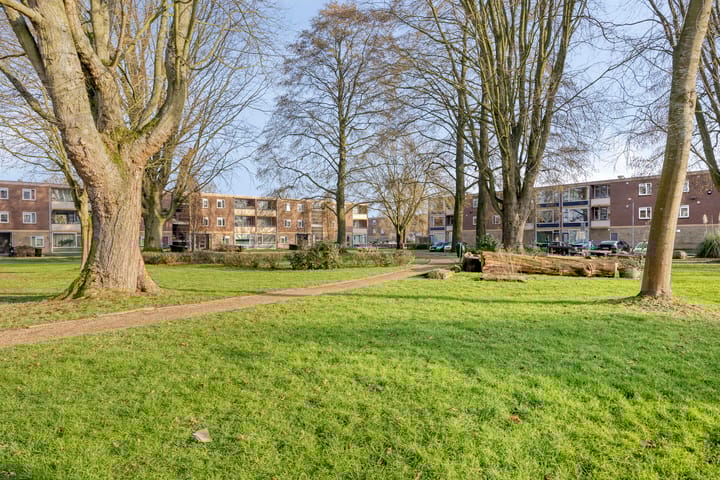 Foto 23 van Gruttoplein 7