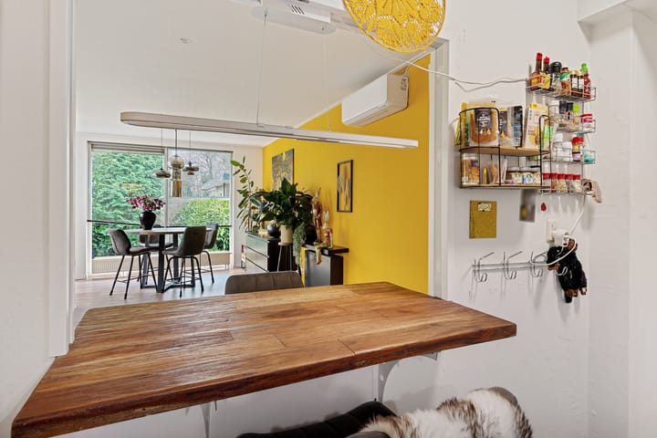 Foto 18 van Johan de Wittlaan 3