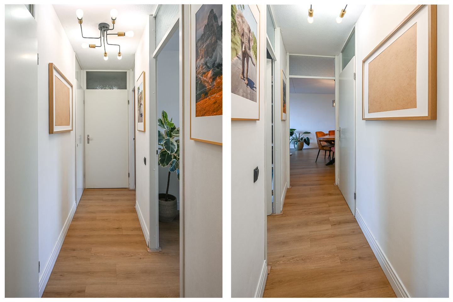 Photo 20 of Zeezigt 334