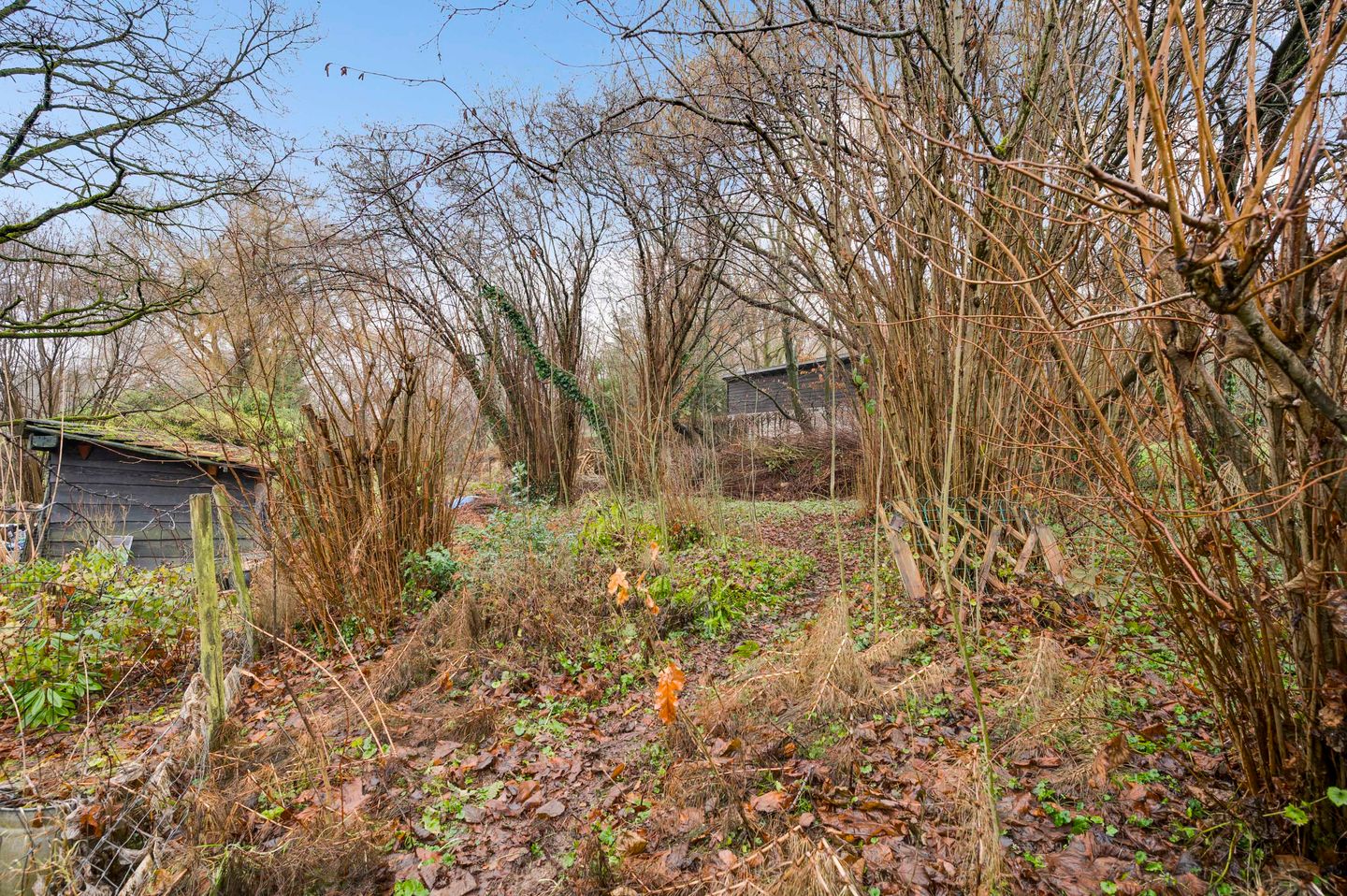 Foto 40 van Hobbelrade 55