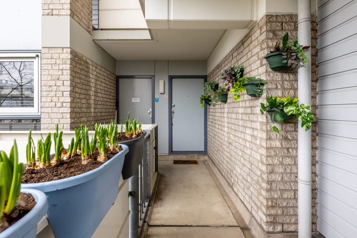 Foto 6 van Koopvaardijhof 3