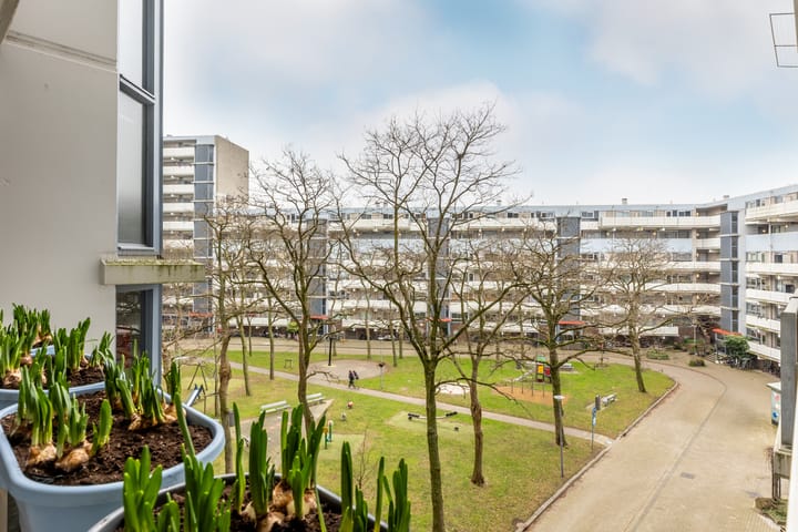 Foto 28 van Koopvaardijhof 3