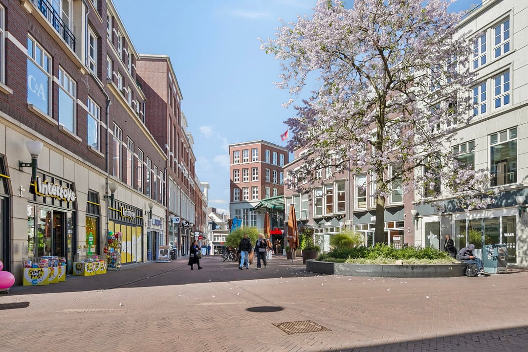 Foto 37 van Velperpoortslangstraat 9-3