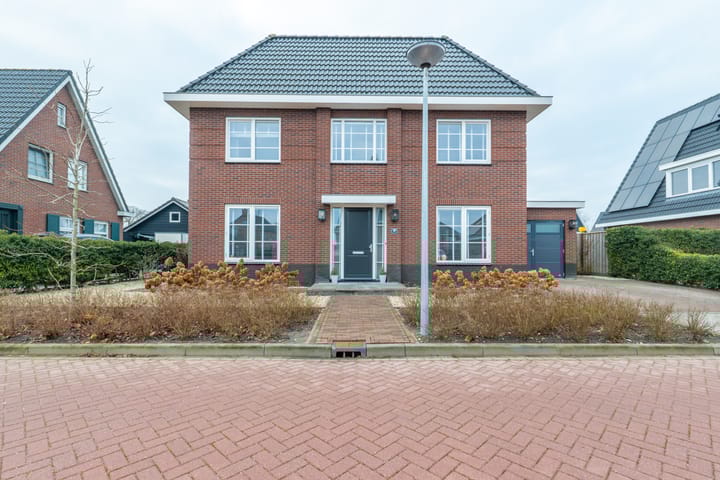 Photo 7 of Narcis 10