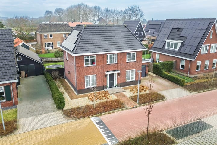 Photo 9 of Narcis 10