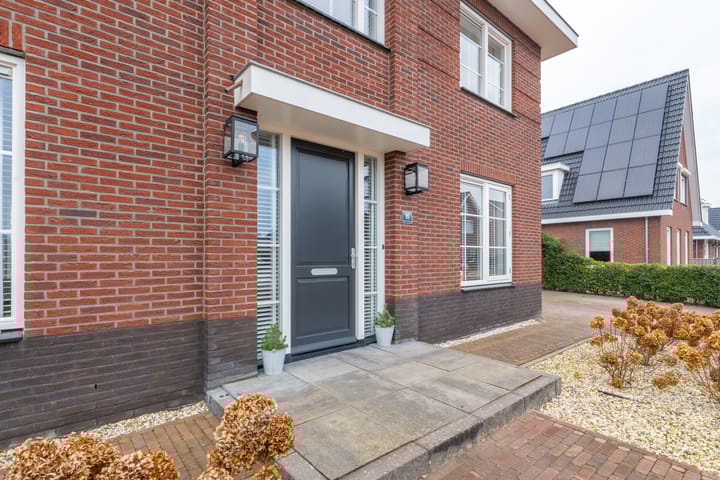 Photo 10 of Narcis 10