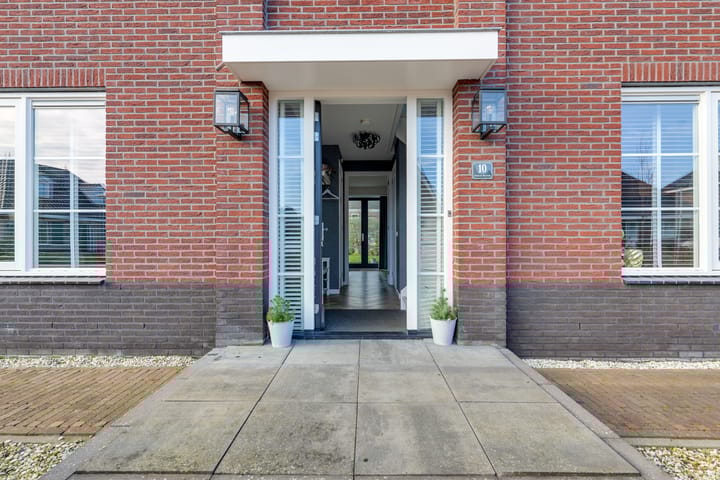 Photo 11 of Narcis 10