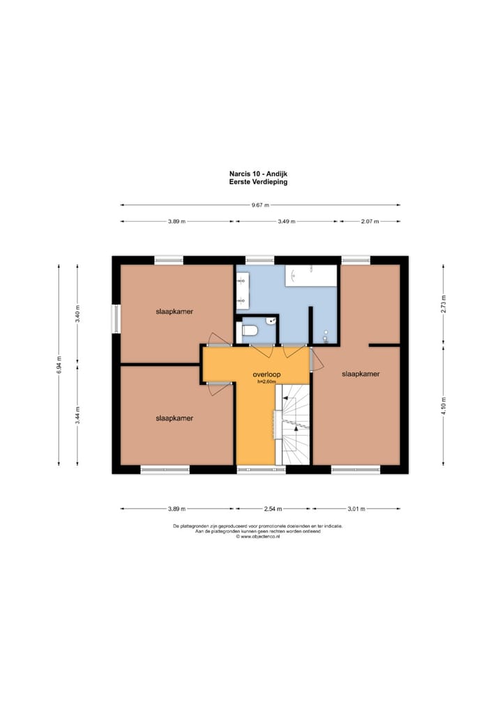 Photo 37 of Narcis 10