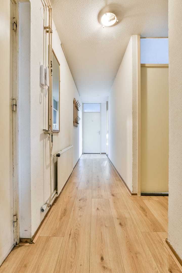 Foto 4 van Havikskruid 97