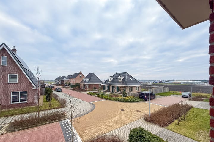 Photo 55 of Narcis 10