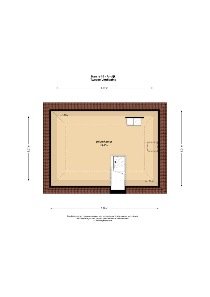 Photo 63 of Narcis 10