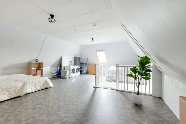 Photo 64 of Narcis 10